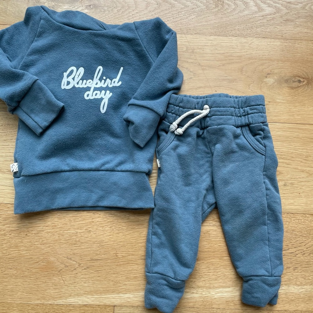 Childhoods Clothing sweatshirt and pants 6-12mos